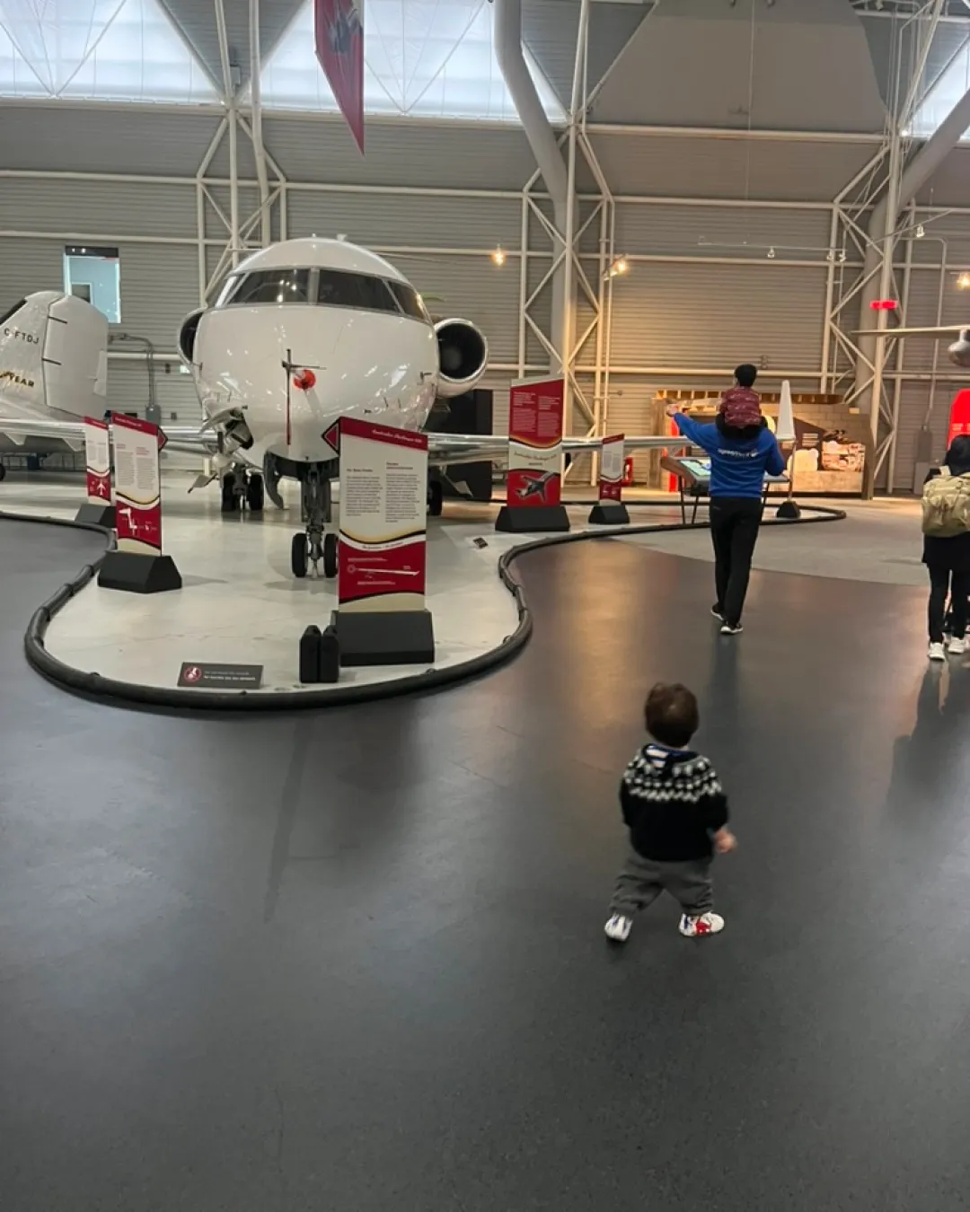 Pato sorprendido por los aviones